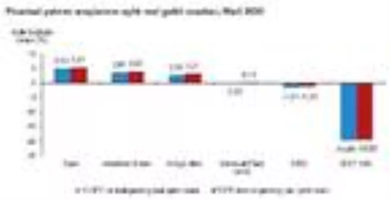 En yüksek reel getiri Mart'ta eurodan, BIST, DİBS kaybettirdi