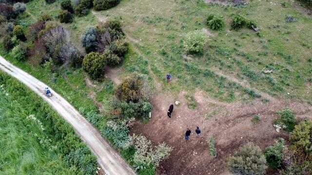 İzmirli vatandaşın kayıp büyükbaş hayvanı, gazetecilere ait drone ile bulundu İzmirli vatandaşın kayıp büyükbaş hayvanı, gazetecilere ait drone ile bulundu