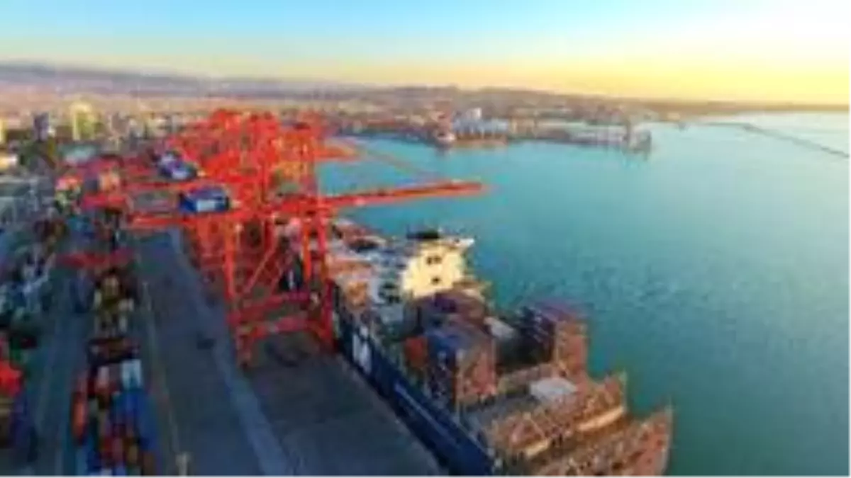 MIP'den liman işlemlerinde korona indirimi