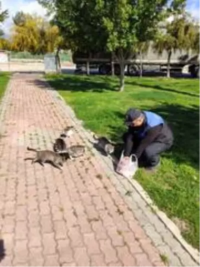 Polisler, sokakta yaşayan sahipsiz kedilere yiyecek bıraktı Polisler, sokakta yaşayan sahipsiz kedilere yiyecek bıraktı