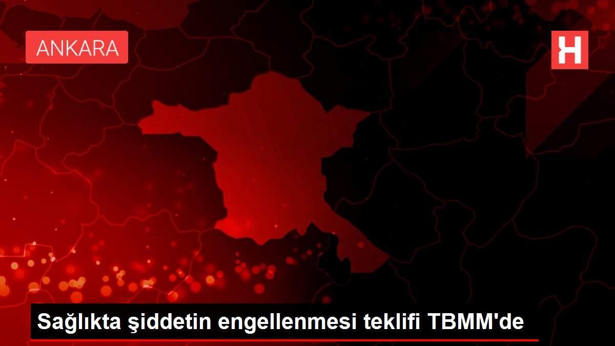 Sağlıkta şiddetin engellenmesi teklifi TBMM'de Sağlıkta şiddetin engellenmesi teklifi TBMM'de