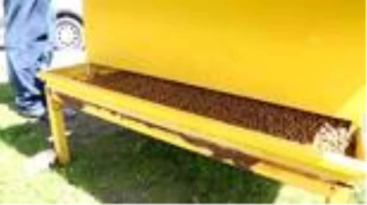 Sivas Belediyesinden sokak hayvanlarına yem ve mama takviyesi