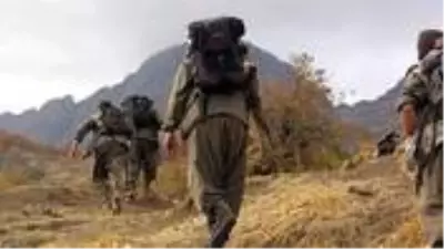 Son dakika: PKK, Diyarbakır'da odun toplamaya giden köylülere saldırdı