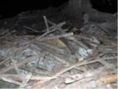 Yozgat'ta şiddetli rüzgardan ahır çöktü: 6 kurbanlık hayvan öldü Yozgat'ta şiddetli rüzgardan ahır çöktü: 6 kurbanlık hayvan öldü