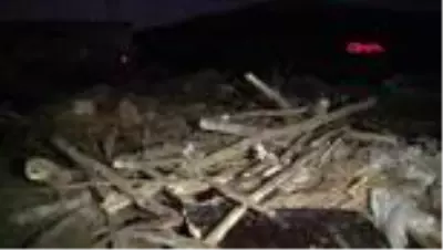 Yozgat'ta şiddetli rüzgardan ahır çöktü 6 kurbanlık hayvan öldü Yozgat'ta şiddetli rüzgardan ahır çöktü 6 kurbanlık hayvan öldü