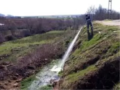 Adıyaman'da haşereyle mücadele devam ediyor
