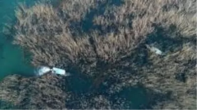 Beyşehir Gölü'nde yasa dışı avlanmaya karşı drone ile sıkı takip