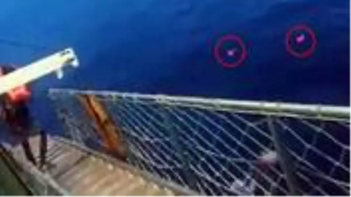 Feribottaki personellerde koronavirüs tespit edildiğini duyan 5 kişi paniğe kapılıp denize atladı