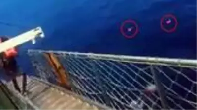 Feribottaki personellerde koronavirüs tespit edildiğini duyan 5 kişi paniğe kapılıp denize atladı Feribottaki personellerde koronavirüs tespit edildiğini duyan 5 kişi paniğe kapılıp denize atladı