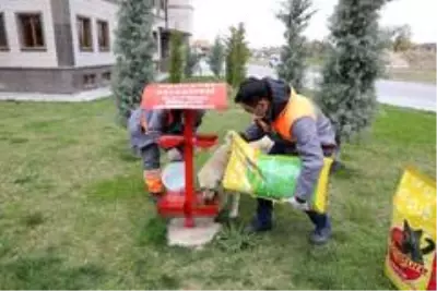 Melikgazi'de salgına rağmen sokak hayvanları unutulmadı Melikgazi'de salgına rağmen sokak hayvanları unutulmadı