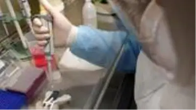 Prof. Dr. Mesut Yılmaz: Koronavirüs vakalarında mayıs ayında gerileme bekliyoruz Prof. Dr. Mesut Yılmaz: Koronavirüs vakalarında mayıs ayında gerileme bekliyoruz