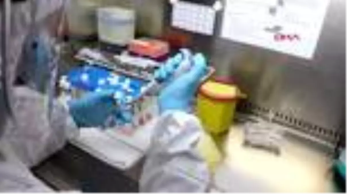 TEKİRDAĞ NKÜ'de, 'İmmün Plazma' çalışmaları sürüyor