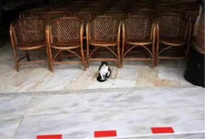 Yurt genelinde 'Evde kal' çağrısına büyük oranda uyuluyor Yurt genelinde 'Evde kal' çağrısına büyük oranda uyuluyor