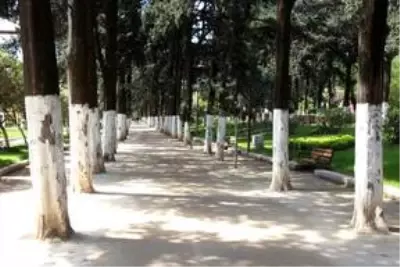 Yurt genelinde 'Evde kal' çağrısına büyük oranda uyuluyor Yurt genelinde 'Evde kal' çağrısına büyük oranda uyuluyor