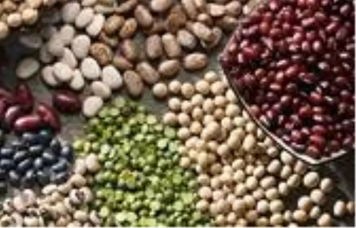 Artan talep Yayla Agro’yu kesintisiz üretime geçirdi