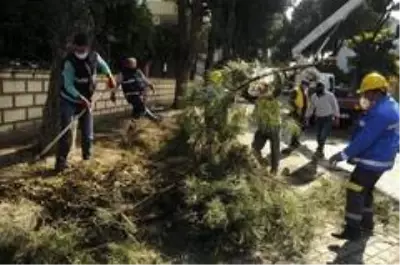 Aydın Büyükşehir ve Nazilli Belediyesi'nden ortak çalışma