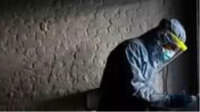 Karantinadan çıkmaya hazırlanan Belçika'da atık sularda koronavirüs izine rastlandı Karantinadan çıkmaya hazırlanan Belçika'da atık sularda koronavirüs izine rastlandı