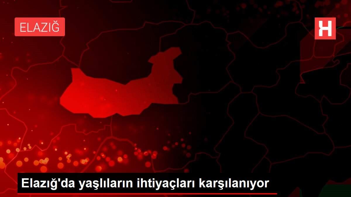 Elazığ'da yaşlıların ihtiyaçları karşılanıyor
