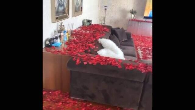 Gökhan Çıra, Selin Ciğerci'nin doğum günü için evi kırmızı güllerle doldurdu.