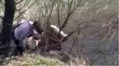 İntihar etmek isteyen genç kızı boğulmaktan kurtaran polislere ödül İntihar etmek isteyen genç kızı boğulmaktan kurtaran polislere ödül