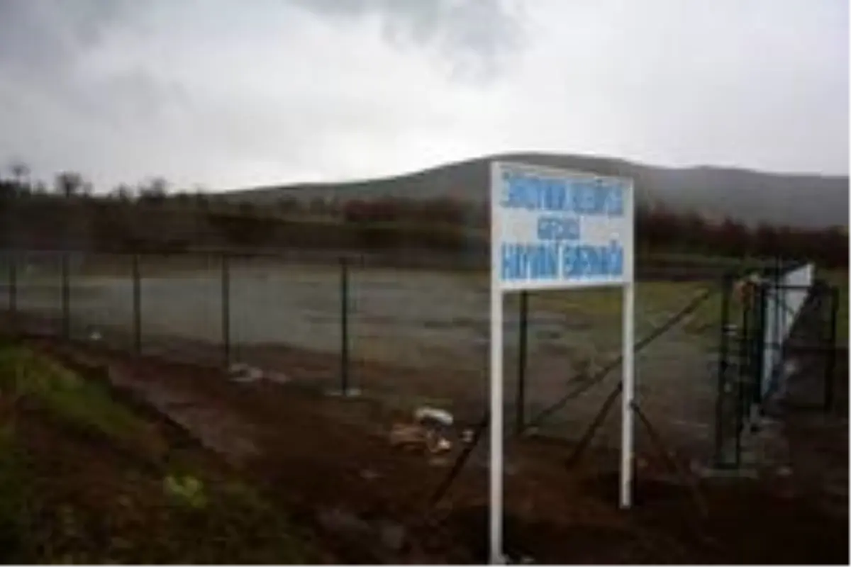 Kaymakam Sancaktutar, geçici hayvan barınağında incelemelerde bulundu