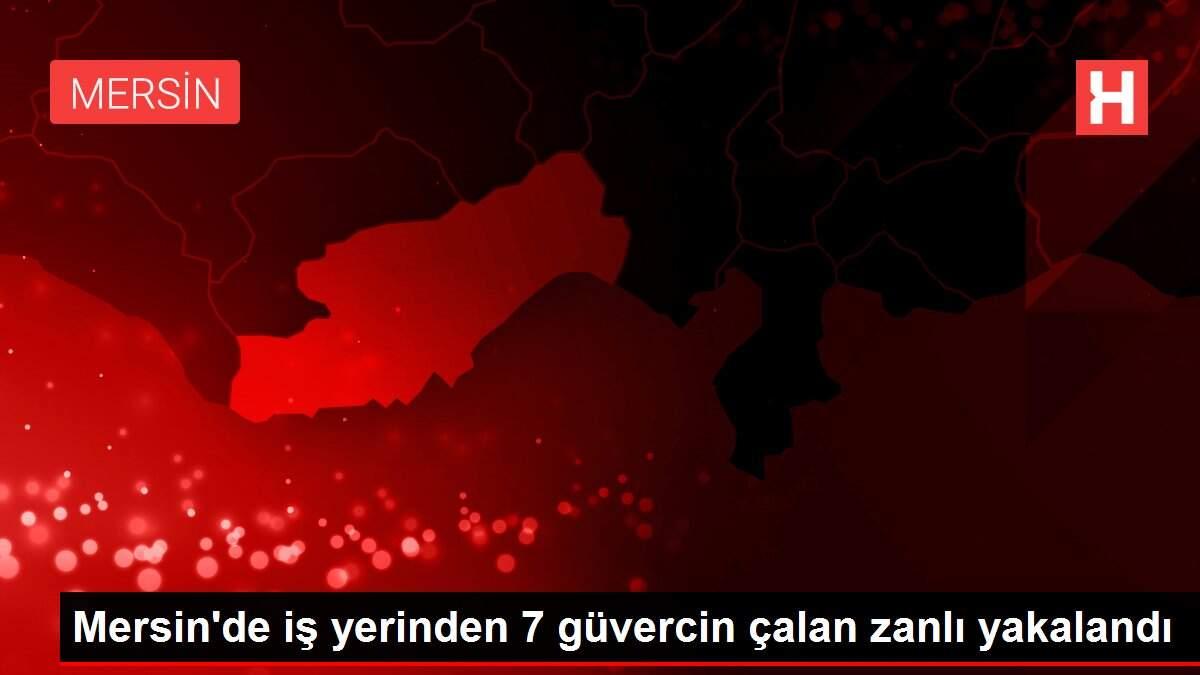 Mersin'de iş yerinden 7 güvercin çalan zanlı yakalandı
