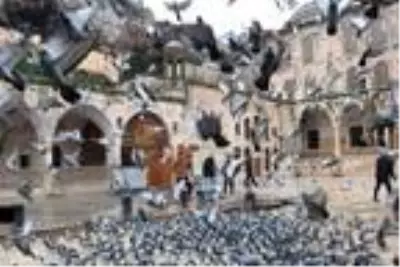 Şanlıurfa'da türbeler ziyarete kapatıldı