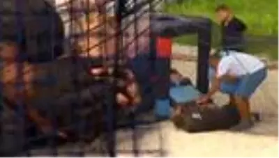 Survivor'da panik! Barış bir anda yere yığıldı...