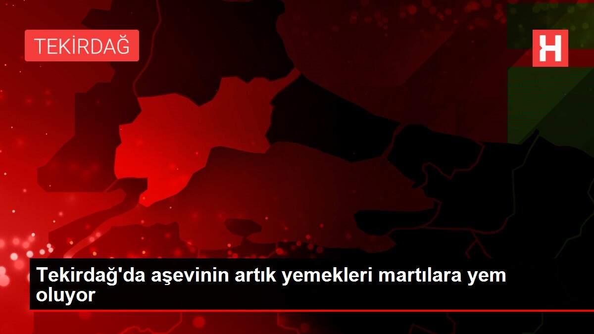 Tekirdağ'da aşevinin artık yemekleri martılara yem oluyor