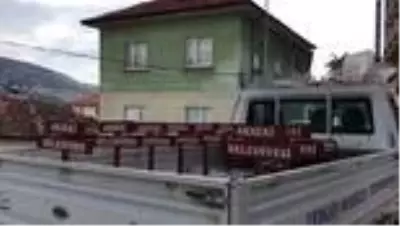 Akseki Belediye Başkanı Özkan, sokak hayvanlarına mama bıraktı Akseki Belediye Başkanı Özkan, sokak hayvanlarına mama bıraktı