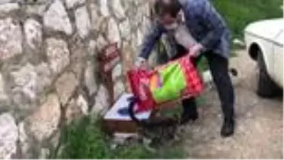 Akseki Belediye Başkanı Özkan, sokak hayvanlarına mama bıraktı Akseki Belediye Başkanı Özkan, sokak hayvanlarına mama bıraktı