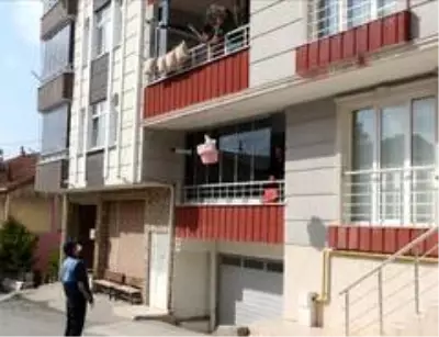 Başkan telefona baktı, zabıta ekmek dağıttı Başkan telefona baktı, zabıta ekmek dağıttı