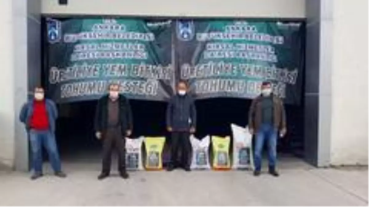 Başkent'te üreticiye tohum desteği