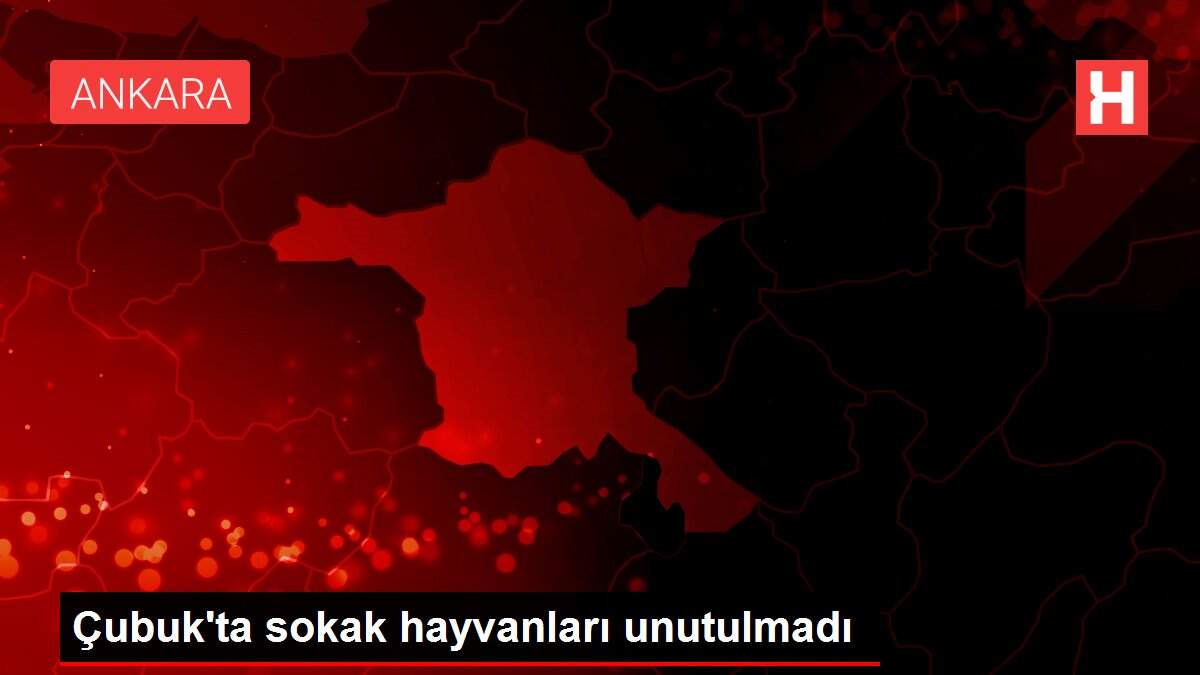 Çubuk'ta sokak hayvanları unutulmadı