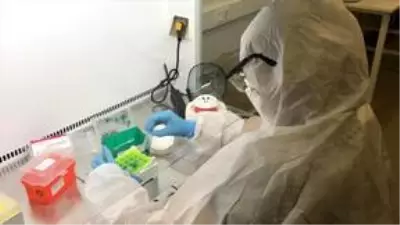 Dünya Sağlık Örgütü'nden Pavel Ursu: Türkiye koronavirüse karşı galip gelecektir Dünya Sağlık Örgütü'nden Pavel Ursu: Türkiye koronavirüse karşı galip gelecektir