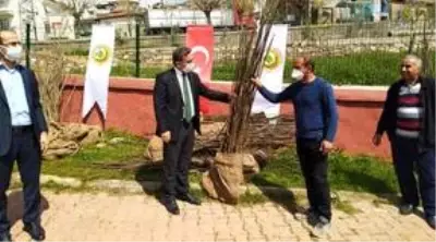 Keban'da çiftçiye 3 bin ceviz fidanı dağıtıldı Keban'da çiftçiye 3 bin ceviz fidanı dağıtıldı
