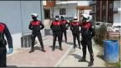 Kıbrıs gazisine ekmeğini yunuslar getirdi Kıbrıs gazisine ekmeğini yunuslar getirdi