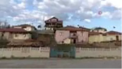 Koyun otlatırken Sağlık Bakanı'na şiir yazdı, sosyal medyanın gündemine oturdu Koyun otlatırken Sağlık Bakanı'na şiir yazdı, sosyal medyanın gündemine oturdu
