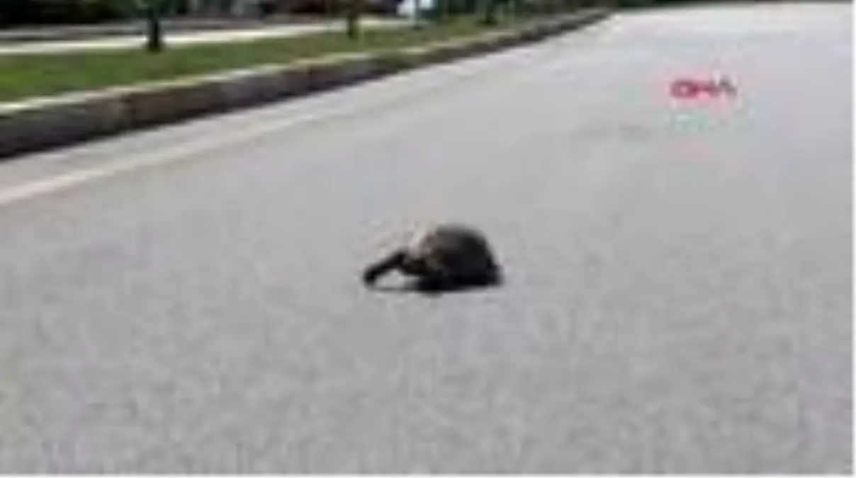 Serik'te sokaklar boşaldı