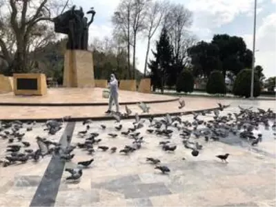 Doğu Marmara ve Batı Karadeniz'de Kovid-19 tedbirleri Doğu Marmara ve Batı Karadeniz'de Kovid-19 tedbirleri