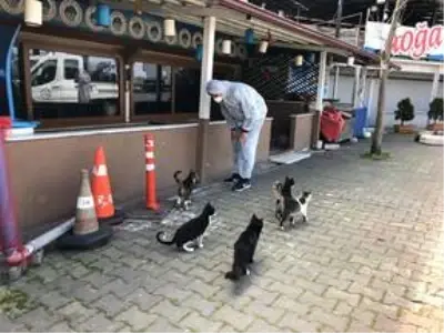 Doğu Marmara ve Batı Karadeniz'de Kovid-19 tedbirleri Doğu Marmara ve Batı Karadeniz'de Kovid-19 tedbirleri