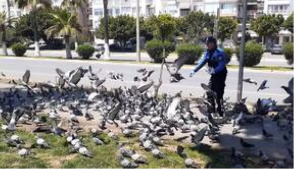 Mersin'de sokak hayvanları unutulmadı