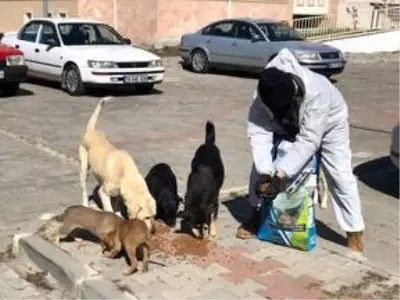 Süloğlu'nda koronavirüs tedbirleri