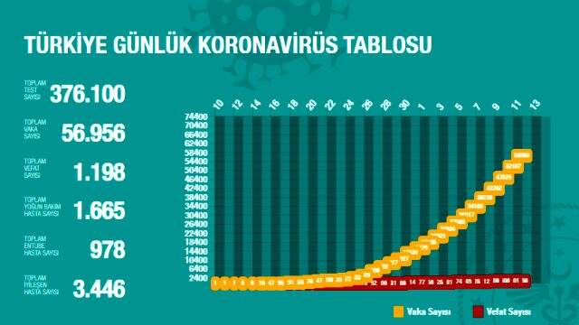 Türkiye'de koronavirüs nedeniyle entübe edilen hasta sayısı 978'e düştü