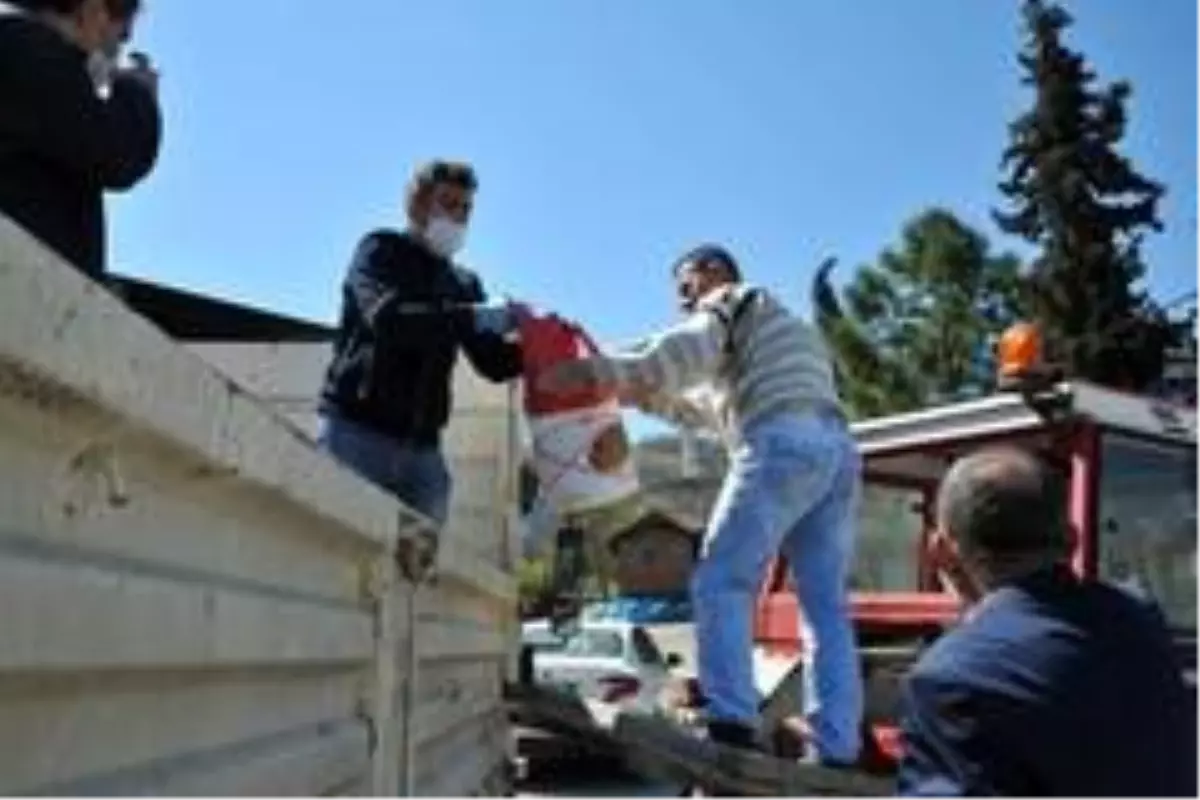 Çiftçiye 'ücretsiz' tohum