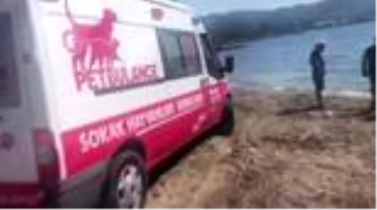 Yaralı bulunan caretta caretta tedaviye alındı