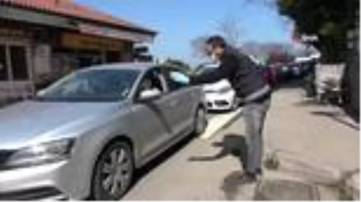 Zonguldak'ta yasak sonrası sokaklar hareketlendi