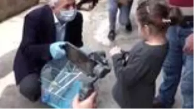 6 yaşındaki çocuğun muhabbet kuşu isteğini belediye başkanı yerine getirdi