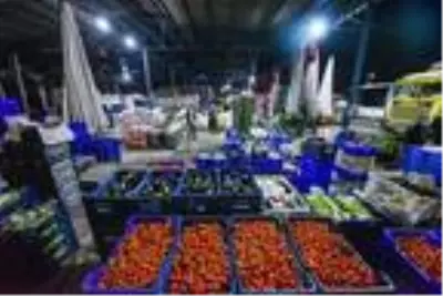 Antalya, 83 milyon için üretiyor Antalya, 83 milyon için üretiyor