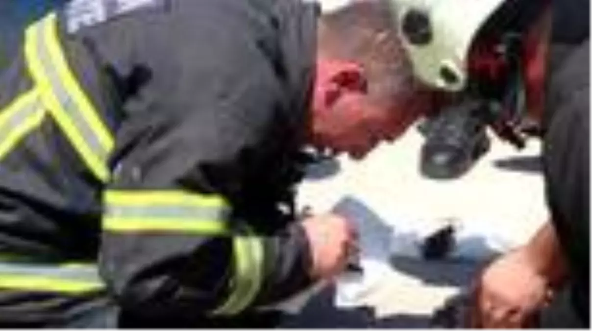 Yavru kedileri suni teneffüsle hayata döndüren itfaiye erleri, o anları anlattı